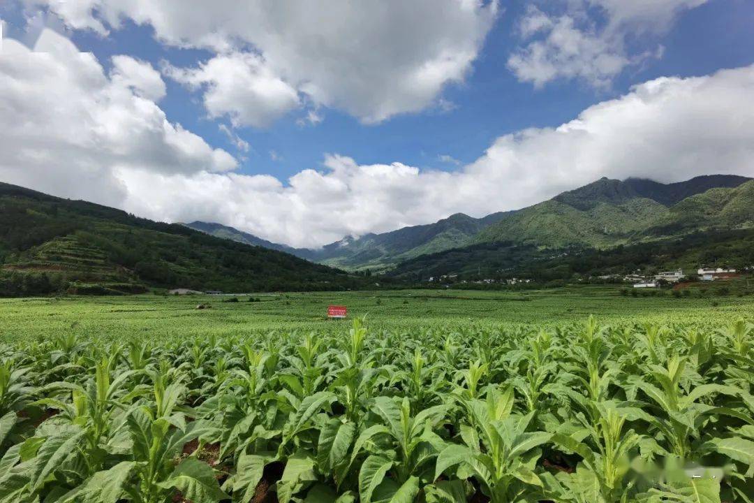 特稿！独家特色产品招募“风风火火”