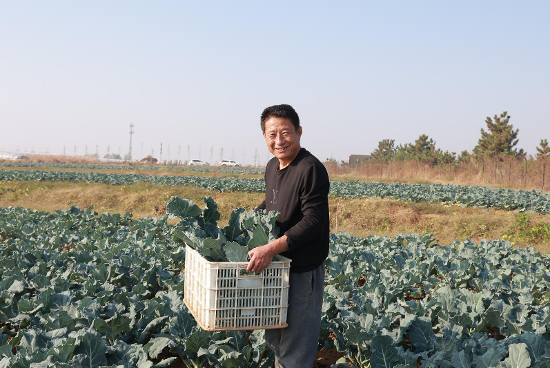 {5元烟批发一手货源揭秘：揭秘低价烟草市场的秘密与风险}