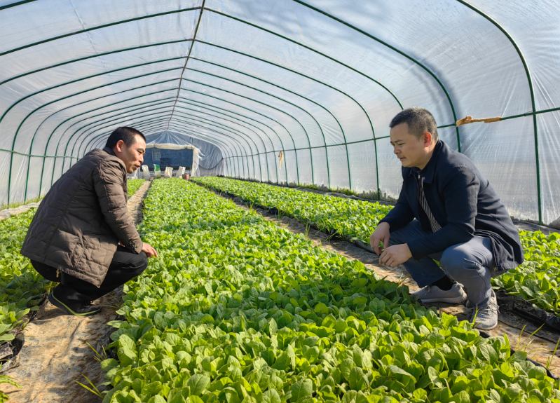 探秘上海烟草批发市场：一站式购烟指南，专业批发市场全解析！