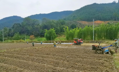 爱喜香烟白葡萄：口感醇厚，品味非凡的烟草新选择