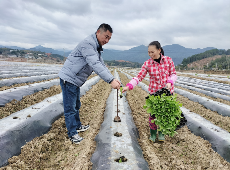 烟丝：文化与性别交织的芳香世界