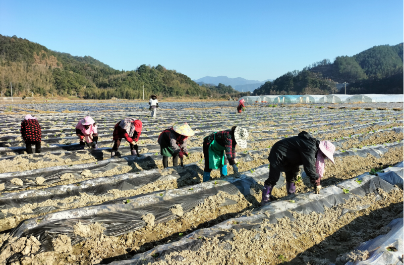 外国烟如何批发 外国烟批发的那些事儿