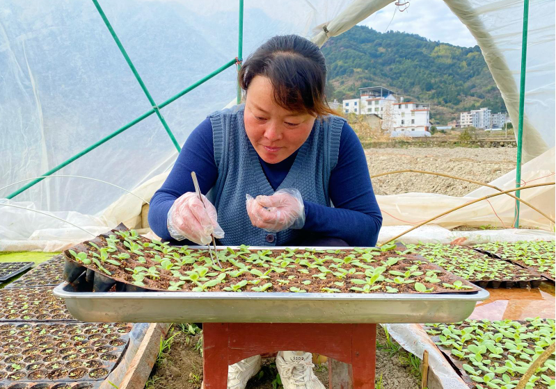 雪茄：性别与时尚的交汇点