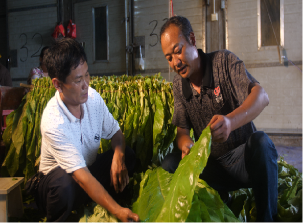 【靠谱原厂件】揭秘烟草、香烟、雪茄、电子烟行业高品质配件选购指南