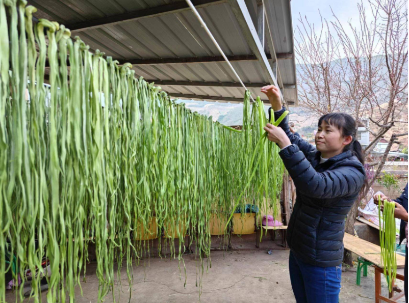 探寻烟草世界：哪里有售卖卷烟的？