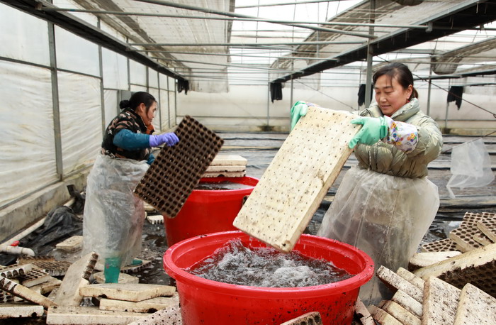 主题：外烟在什么地方购买福建