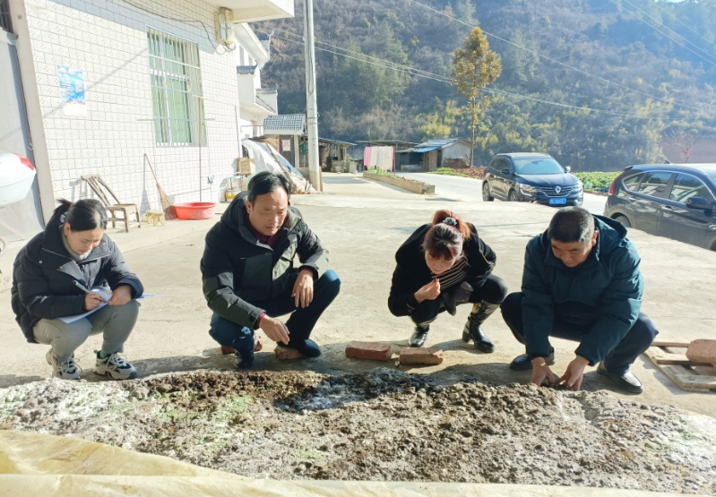 电子烟的法律与科学：影响与行为的双重探讨