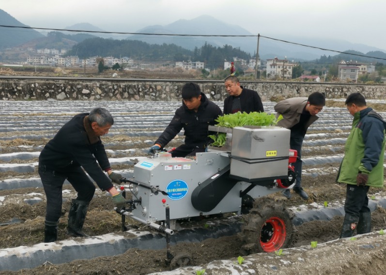 【烟草批发指南】如何找到可靠的香烟、雪茄及电子烟批发厂家联系方式？