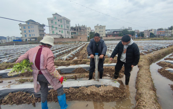 头条快讯！正规网上烟草商城“辞巧理拙”