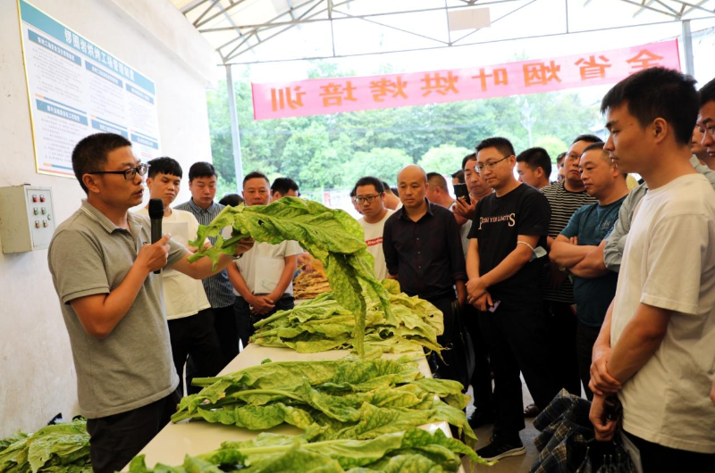 特讯热点！代购香烟可靠不“拨乱之才”