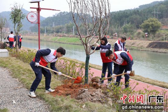 烟可以线上卖吗-假烟打12313有用吗