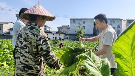 如何巧妙地请外卖员帮忙带烟——实用指南与技巧分享