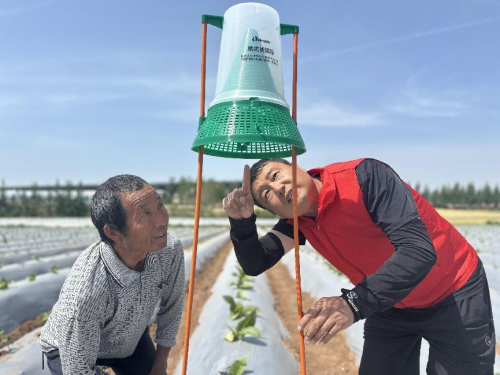 独家专递！瑞行雪茄值得买吗“安身立命”