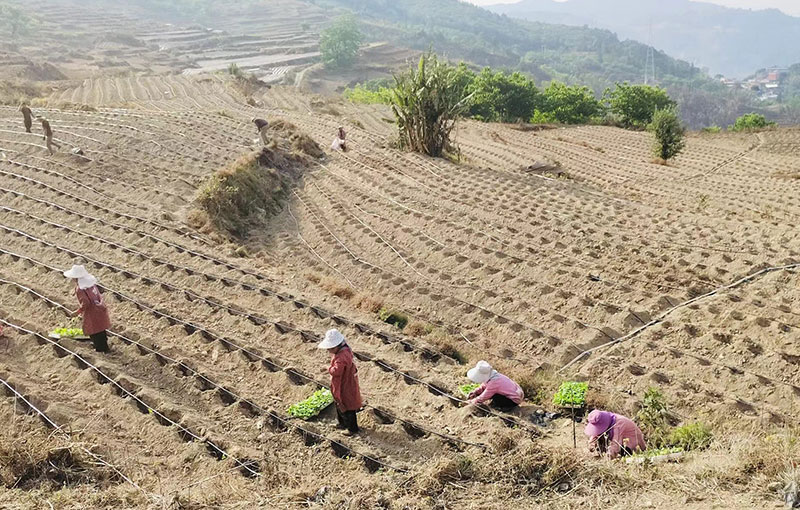 烟草的双面符号：时尚与健康的博弈