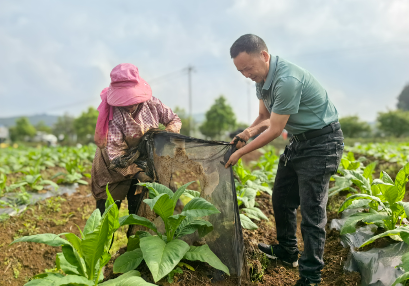 免费微商拿货：如何在烟草、香烟、雪茄、电子烟领域中实现