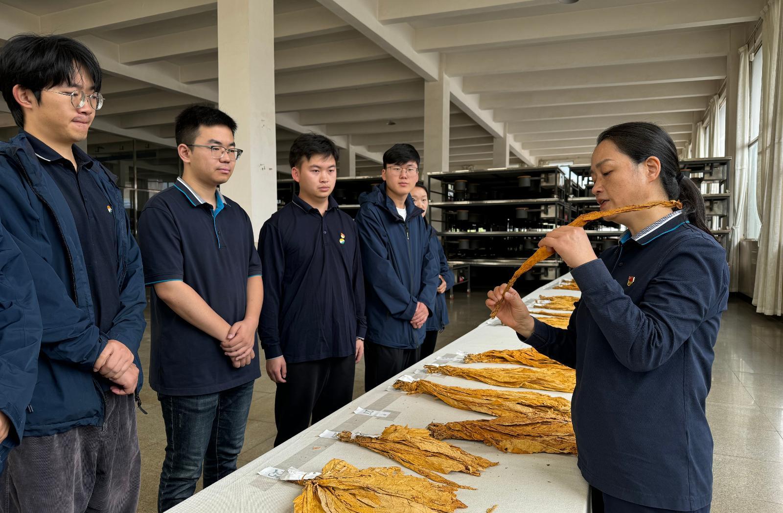 阿里山小金花香烟：价格透明，品质卓越——全面解析价格表与市场行情