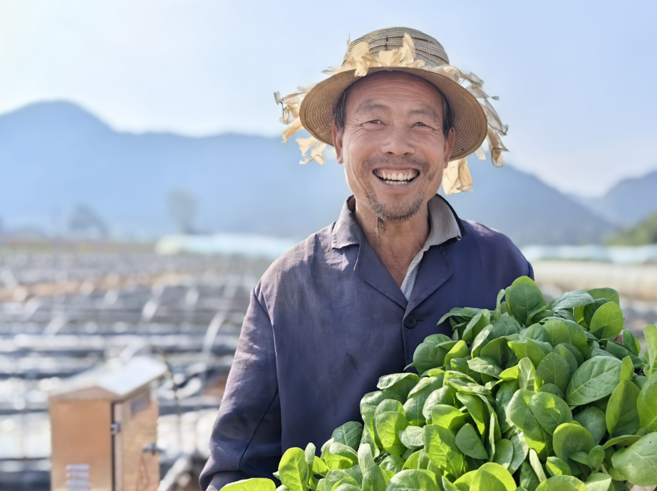 重大新闻！外烟一手渠道烟草批发“反唇相稽”